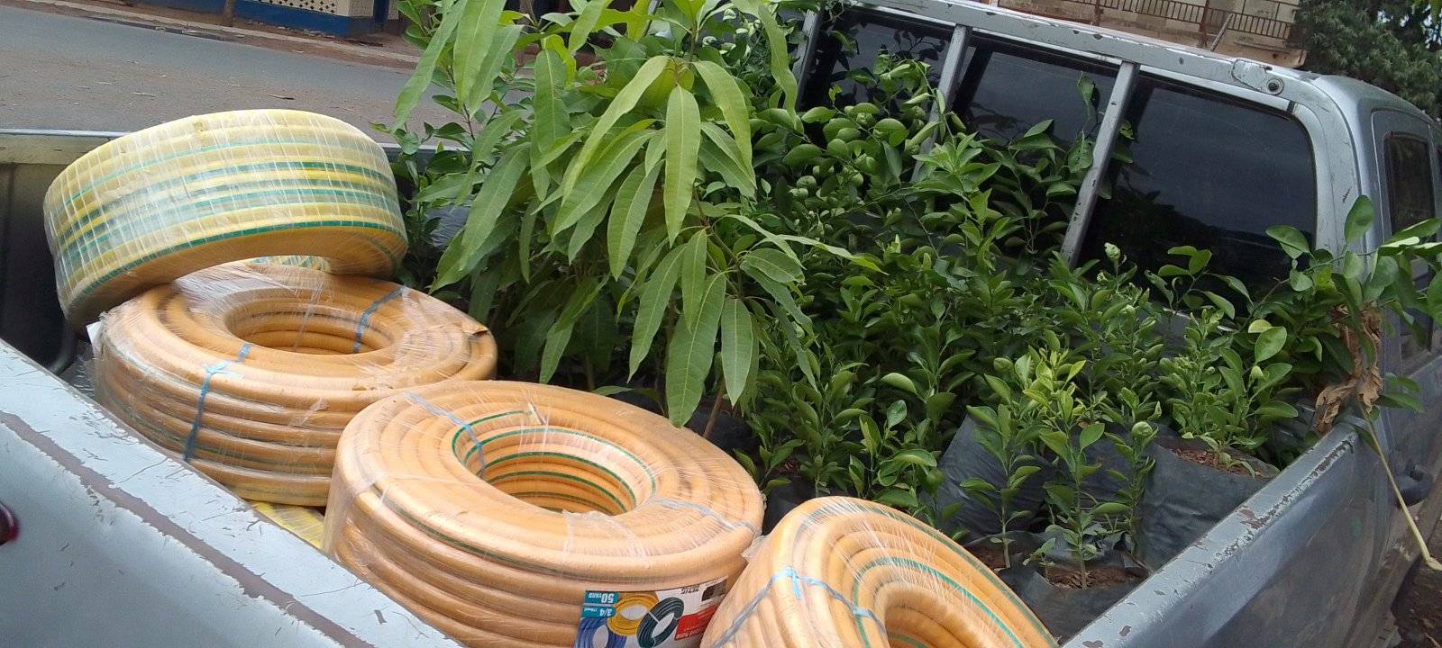 Agricultural supplies and seedlings